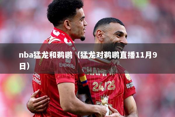 nba猛龙和鹈鹕（猛龙对鹈鹕直播11月9日）