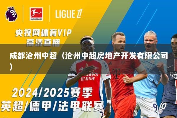成都沧州中超（沧州中超房地产开发有限公司）