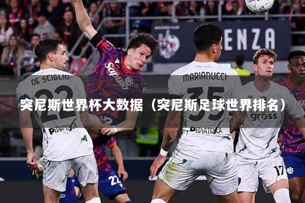 突尼斯世界杯大数据（突尼斯足球世界排名）