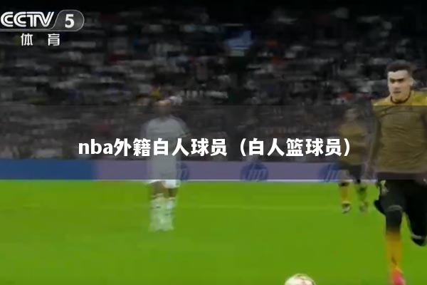 nba外籍白人球员（白人篮球员）