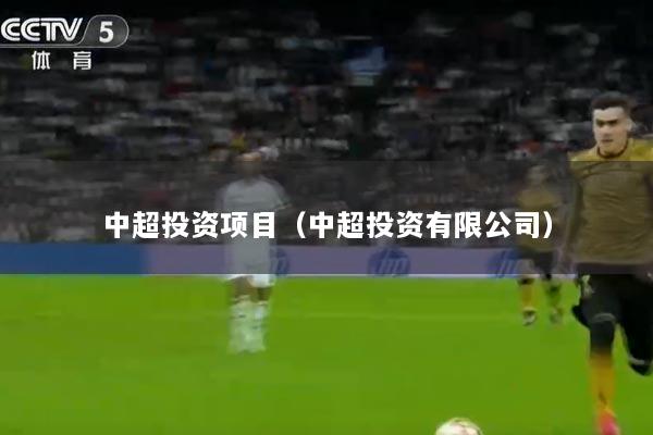 中超投资项目（中超投资有限公司）